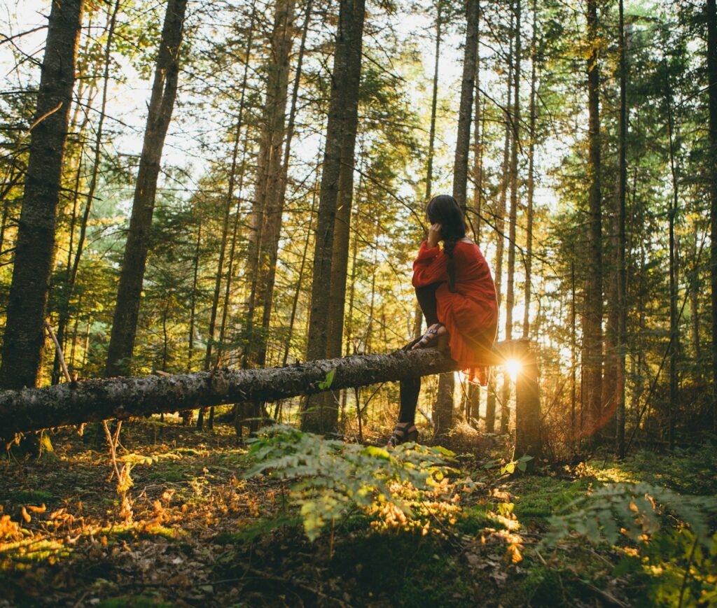 woman sitting on gray tree log on forest under trees during sunrise